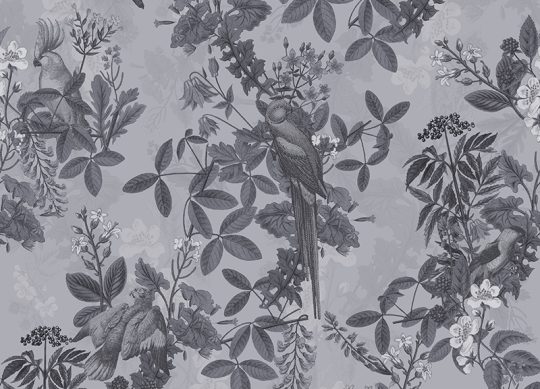 SW-FABR-PARR1_swoon_fabric_parrot 1_31.2x22.5cm